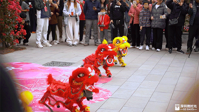 日入上千,出租宇树机器狗赚钱的深圳人